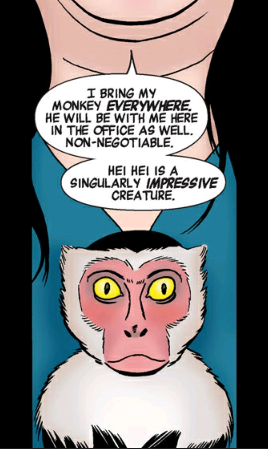 paralegal and mystery monkey in she hulk