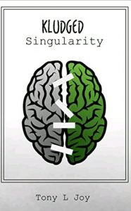 Kludged Singularity book cover