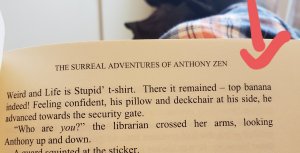 excerpt from the surreal adventures of anthony zen