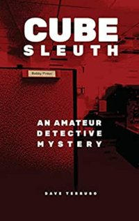 cube sleuth dave terruso