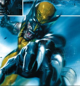 wolverine but really well drawn