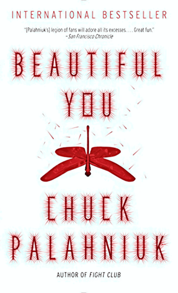 beautiful you book cover