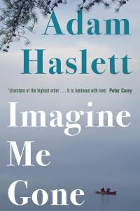 Imagine me Gone book cover