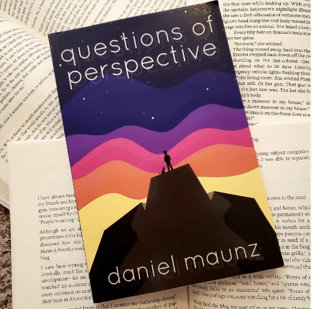 questions of perspective novel